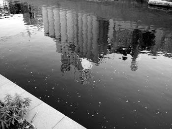 Reflection of Grain Elevators on the River